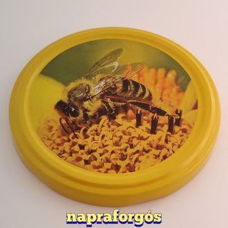 befottes-uveg-lapka