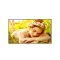 LG 24/7 Signage kijelző 43" 43UL5Q, 3840x2160, 500cd/m2, HDMIx3/RS-232C/RJ45/USBx2