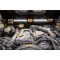DEWALT LED-Lámpa, 12/18V XR, motorházra, akkumulátor és töltő nélkül